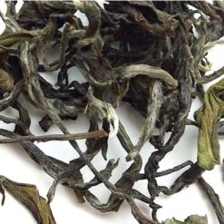 Lydia Gautier – Darjeeling Rohini Tea Estate