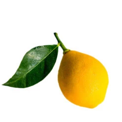 Cédric Grolet – Le Citron